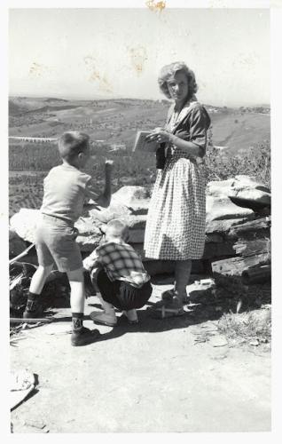 31-00000351